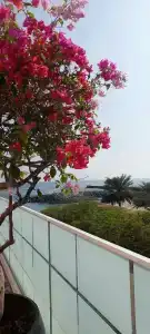 Fairmont Fujairah Beach Resort - 61