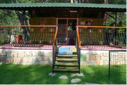 Greenland - All Inclusive - 40