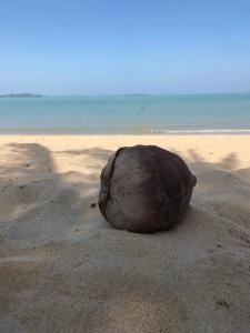 The Village Coconut Island Beach Resort - SHA Extra Plus - 20