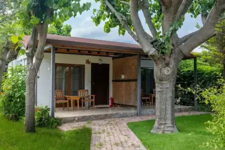 Caretta Caretta Pension