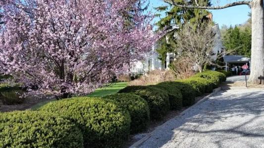 Albemarle Inn - Asheville - 94