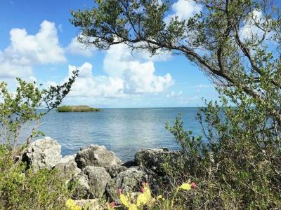 Banana Bay Resort & Marina - 15