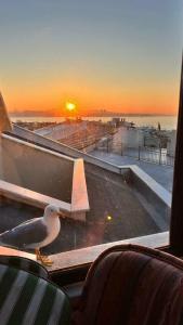 Berce Apartments - 2