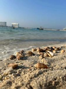 Marjan Island Resort & Spa Managed By Accor - 22