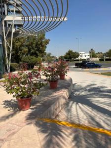 Holiday Inn Abu Dhabi, an IHG - 26