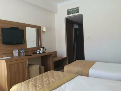 Palan Ski & Convention Resort - 90