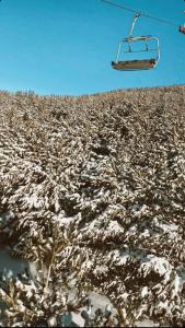 Polat Palandöken - 35