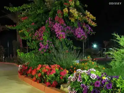 Grand Nar Adults Only - 54