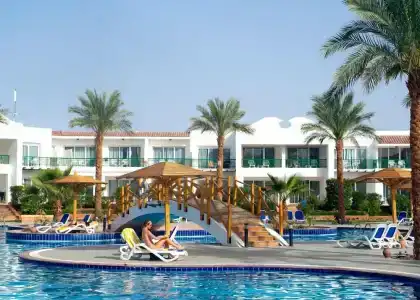 Panorama Naama Heights - 98