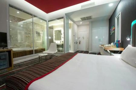 Park Inn by Radisson Ankara Cankaya - 82