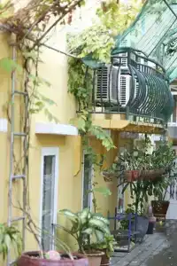 Golden House International - 11