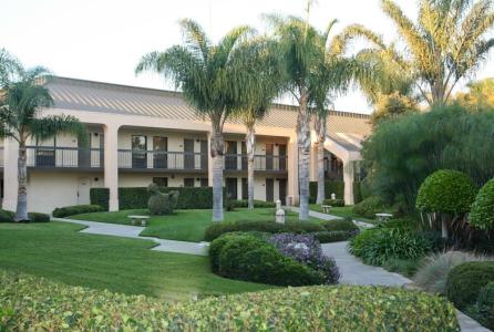 Best Western Plus South Coast Inn - 92