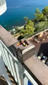 Blue Dreams Resort - 34