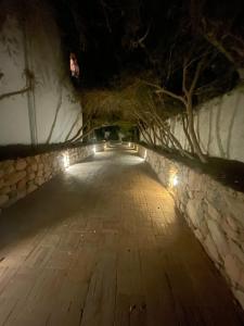 Domina Coral Bay Resort, Diving , Spa & Casino - 87