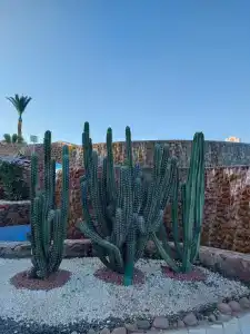 Concorde El Salam Sharm El Sheikh Sport - 36