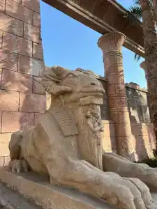 Mirage Bay Resort & Aqua Park - 5