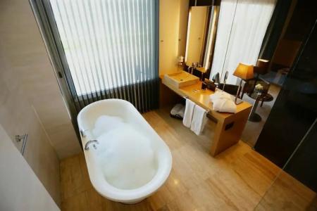 Gran Palas - Spa incluido - 72