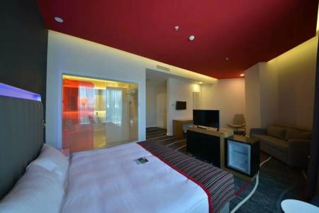 Park Inn by Radisson Ankara Cankaya - 96