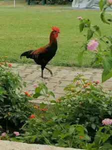 Akka Claros - All Inclusive - 59