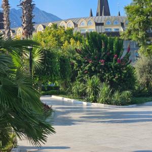 Crystal Prestige Elite - 30