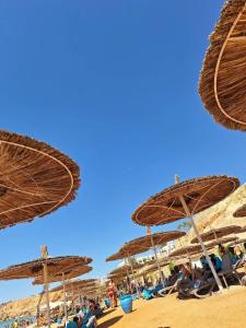 Sentido Reef Oasis Senses Aqua Park Resort - 22