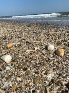 Novotel Fujairah - 66