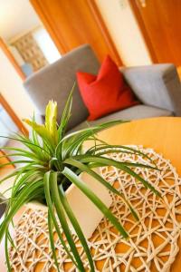 Ortner's Resort - 59