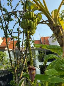 JW Marriott Khao Lak Resort and Spa - 57