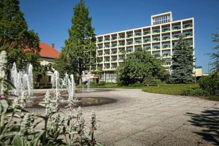 Aranyhomok Business City-Wellness-Hotel - 12