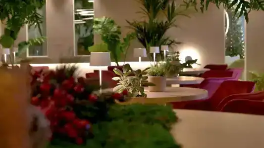 Sentido Michelizia Tropea Resort - 70