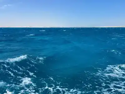 Caribbean World Resort Soma Bay - 34