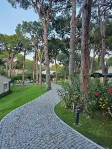 Pine Beach Belek - 97