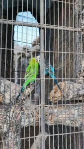 Seagull Beach Resort - Families and Couples Only - 98