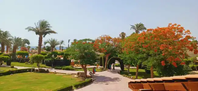 Lotus Bay Resort - 78