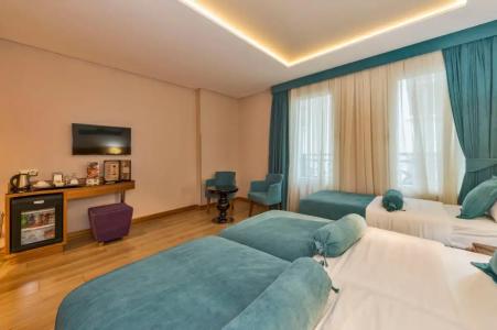 The Meretto Istanbul Old City - 89