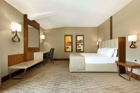 Ramada by Wyndham Sakarya - 82