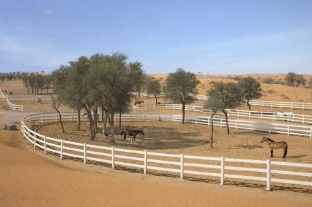 The Ritz-Carlton Ras Al Khaimah, Al Wadi Desert - 92