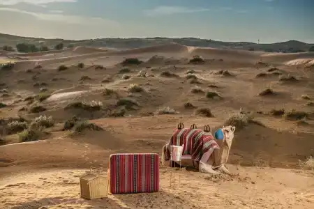 The Ritz-Carlton Ras Al Khaimah, Al Wadi Desert - 56