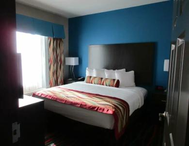 Best Western Plus Tech Medical Center Inn - 22