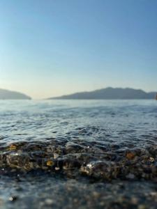 Mert Seaside (Adult only +16) - 35