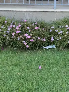 Kefaluka Resort Ultra All Inclusive - 89