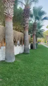 Regia Mare Beach Bodrum - 42