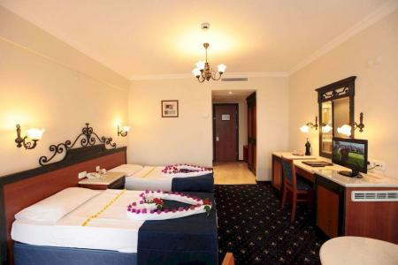 Club Cactus Paradise - 83