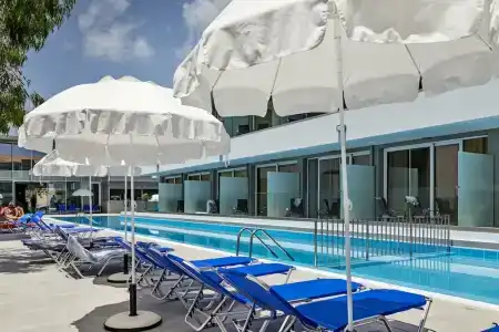 White Olive Premium Laganas - 7