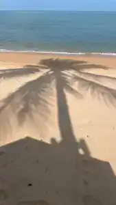 Sea Sand Sun Resort and Villas - SHA Plus - 85