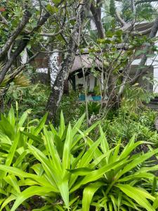 One&Only Le Saint Géran, Mauritius - 35