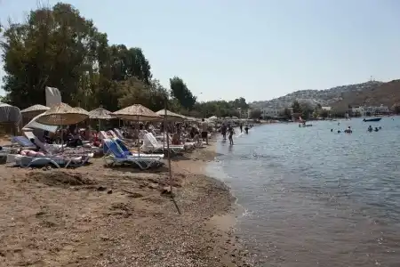 Metins Gümüşlük - 1