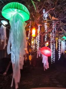 Phuket Graceland Resort and Spa - SHA Extra Plus - 95