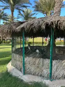 Labranda Club Makadi - 44