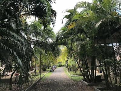 Coconut Bungalow - 33